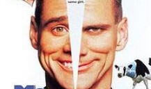 一个头两个大免费在线观看,揭秘“头两个大”热门剧集在线观看攻略